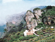 kodaikanal-hill-station-in-tamilnadu